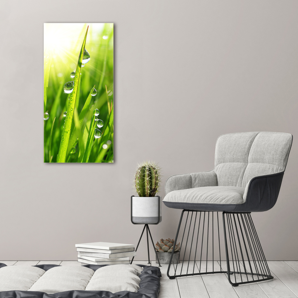 Tableau imprimé sur verre Tiges d'herbe