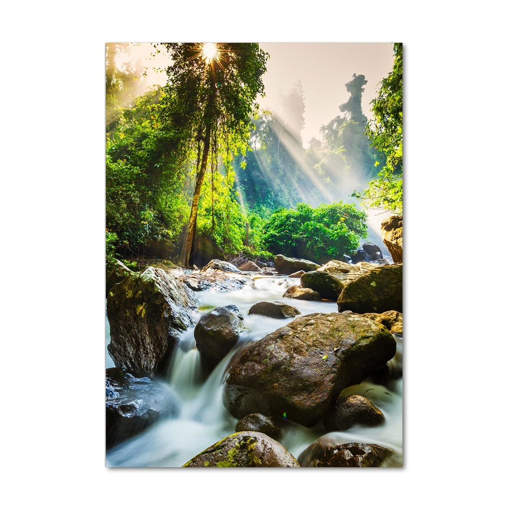 Tableau imprimé sur verre Cascade dans la forêt