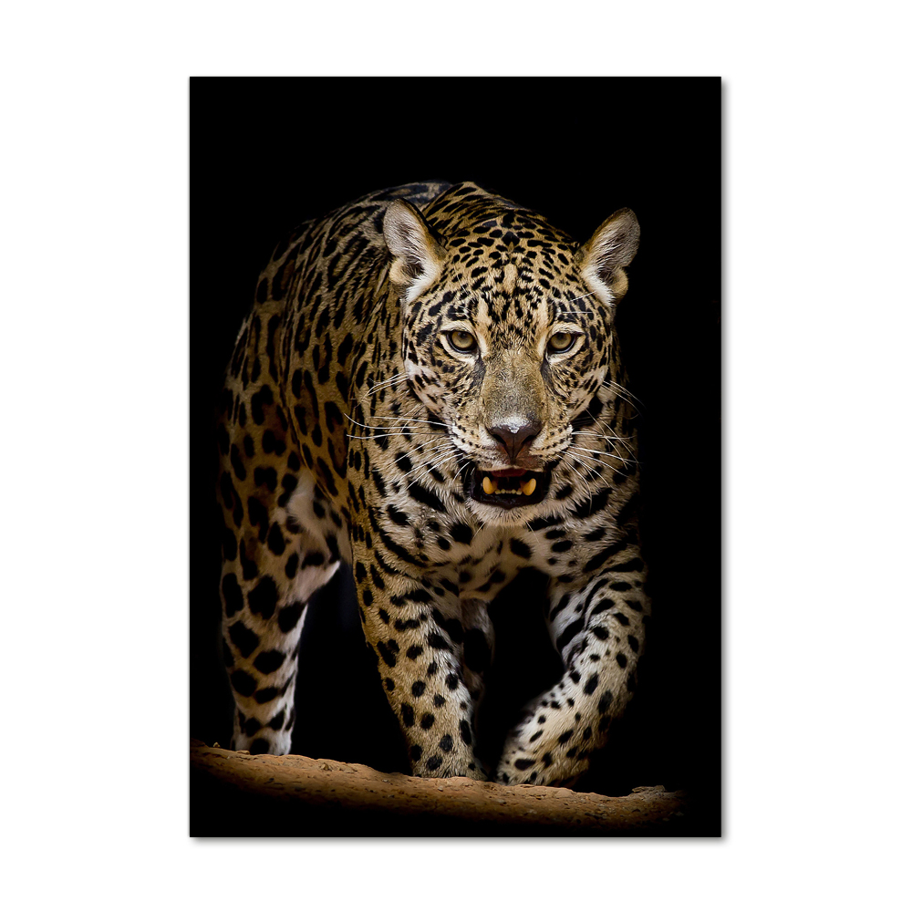 Tableau imprimé sur verre Jaguar