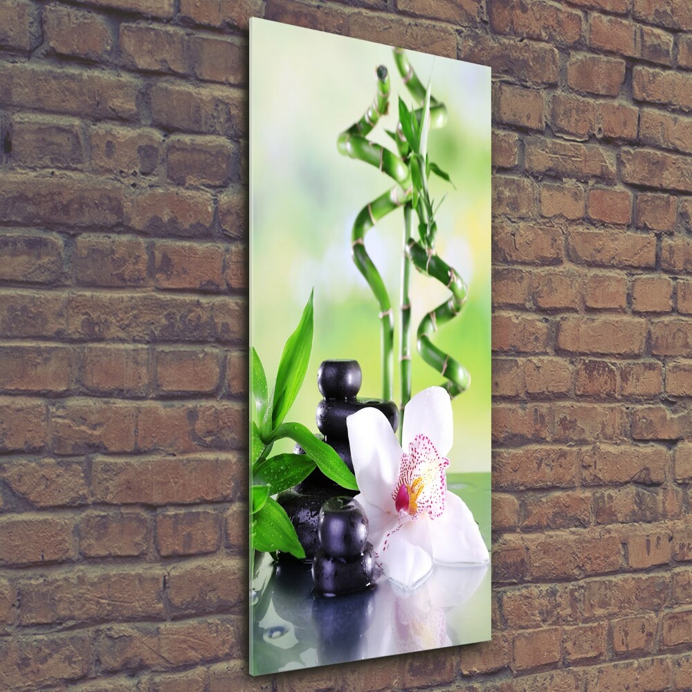 Tableau photo sur verre Bamboo