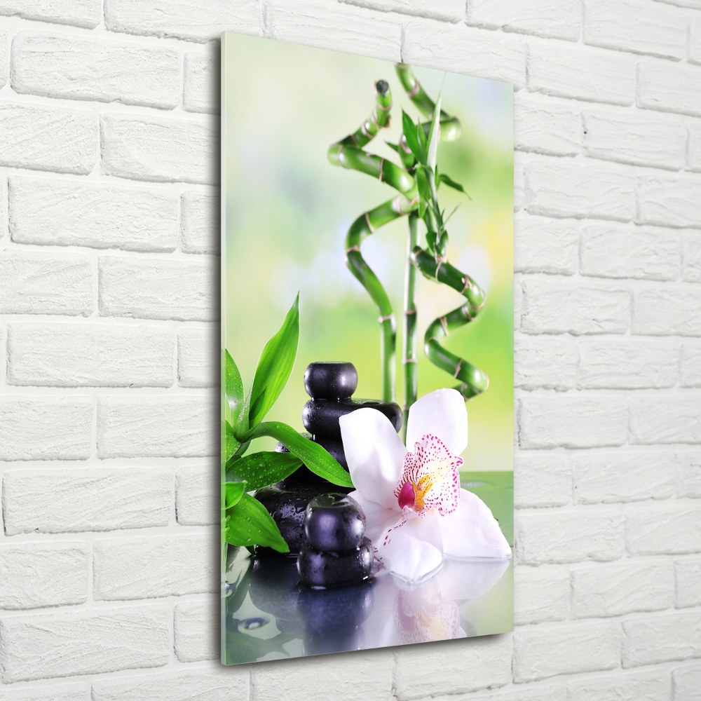 Tableau photo sur verre Bamboo