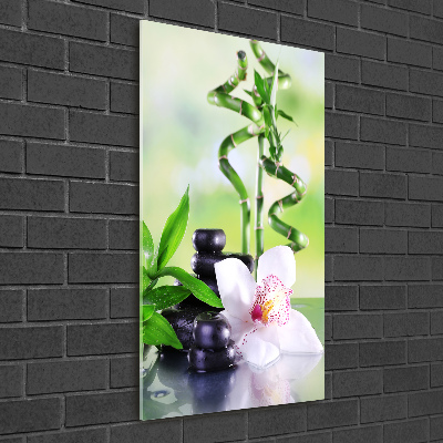 Tableau photo sur verre Bamboo