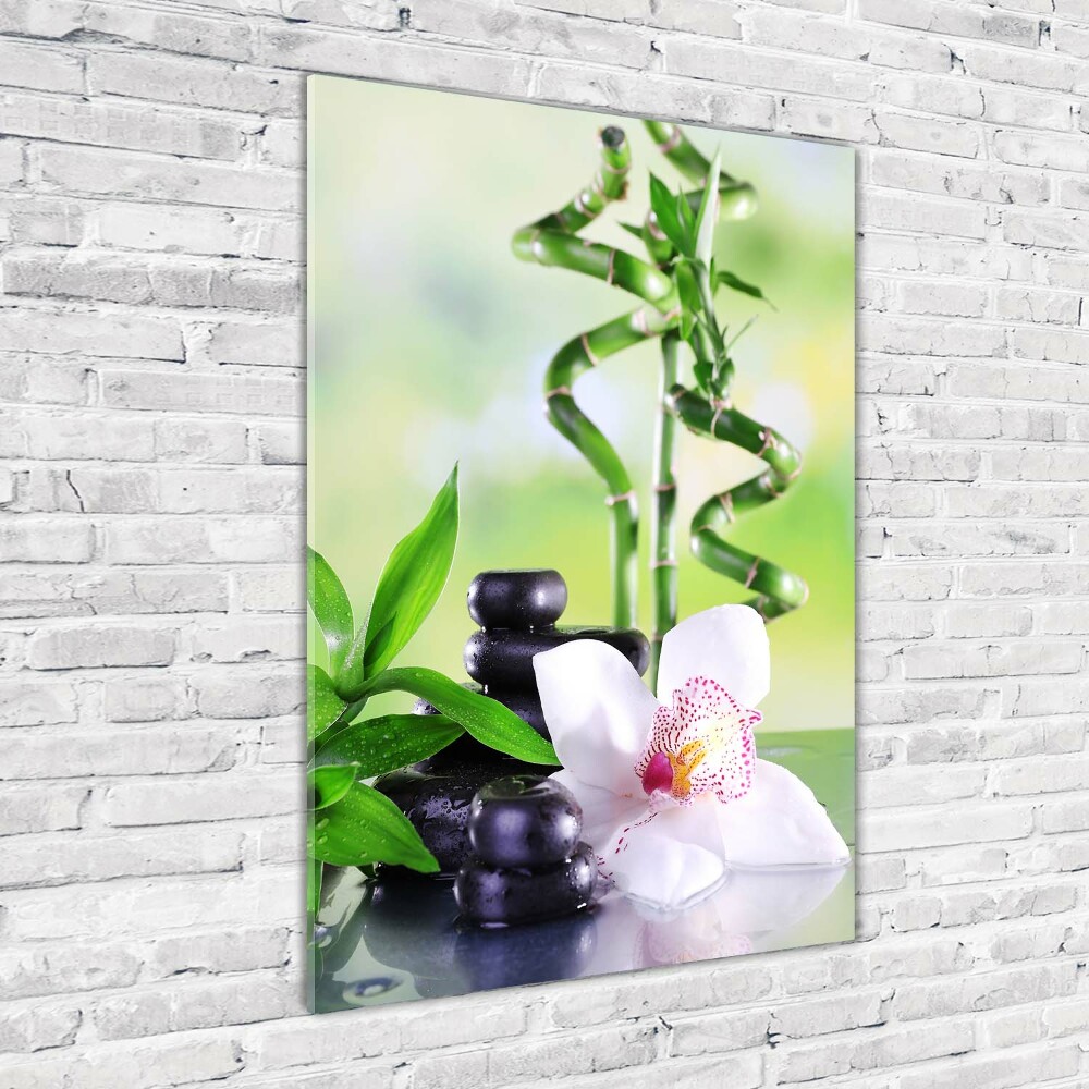 Tableau photo sur verre Bamboo