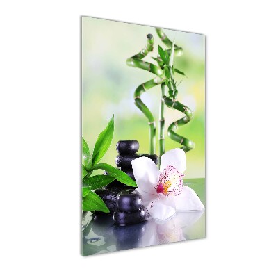 Tableau photo sur verre Bamboo