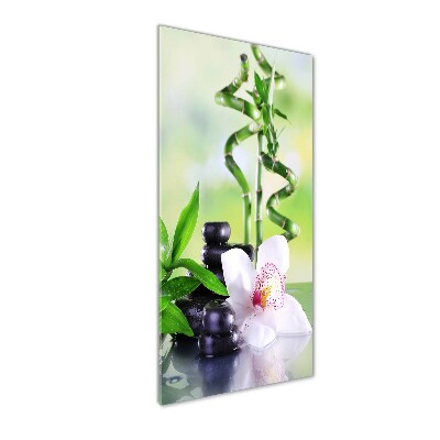 Tableau photo sur verre Bamboo