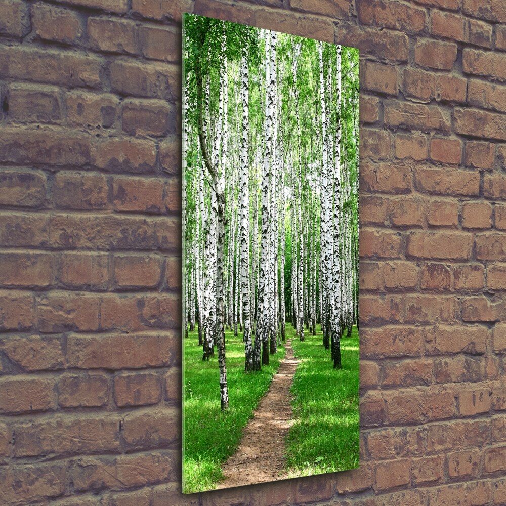 Tableau imprimé sur verre Les forêts de bouleaux