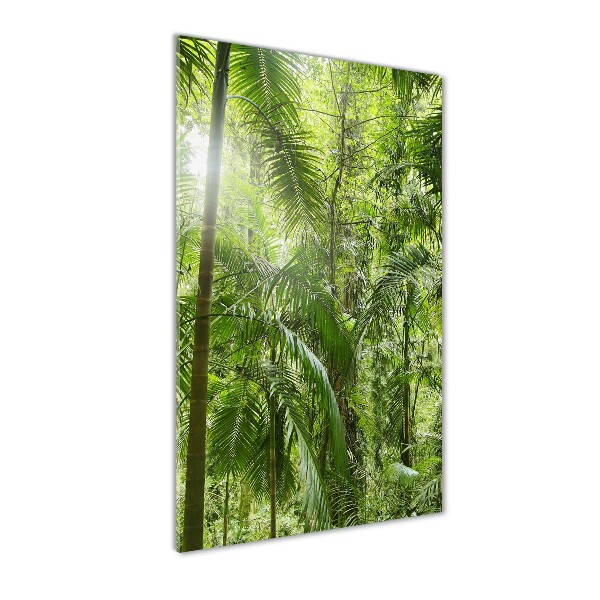 Forêt tropicale