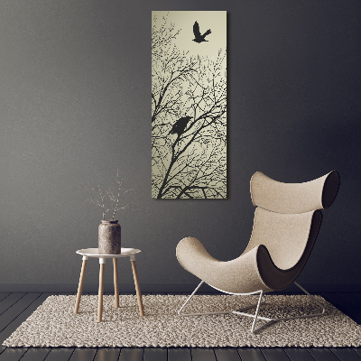 Tableau photo sur verre Corbeaux arboricoles