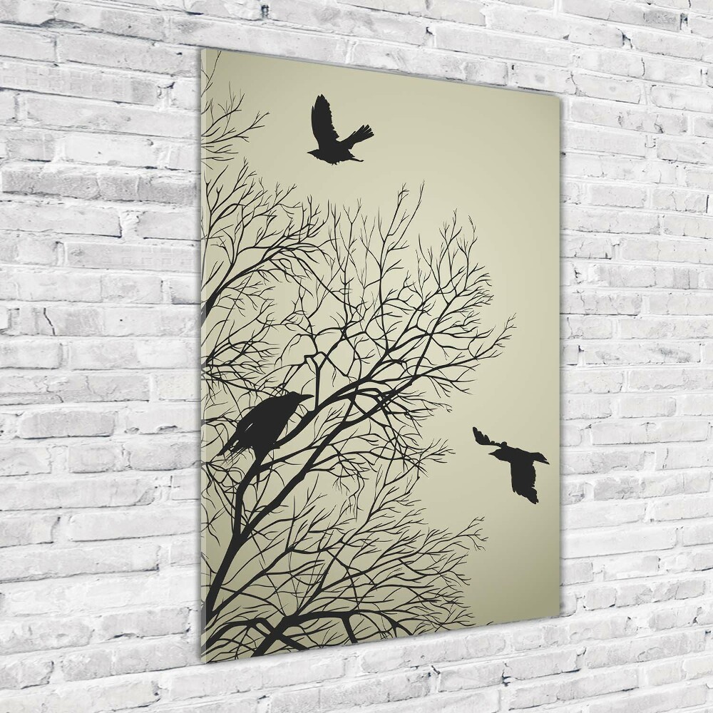 Tableau photo sur verre Corbeaux arboricoles