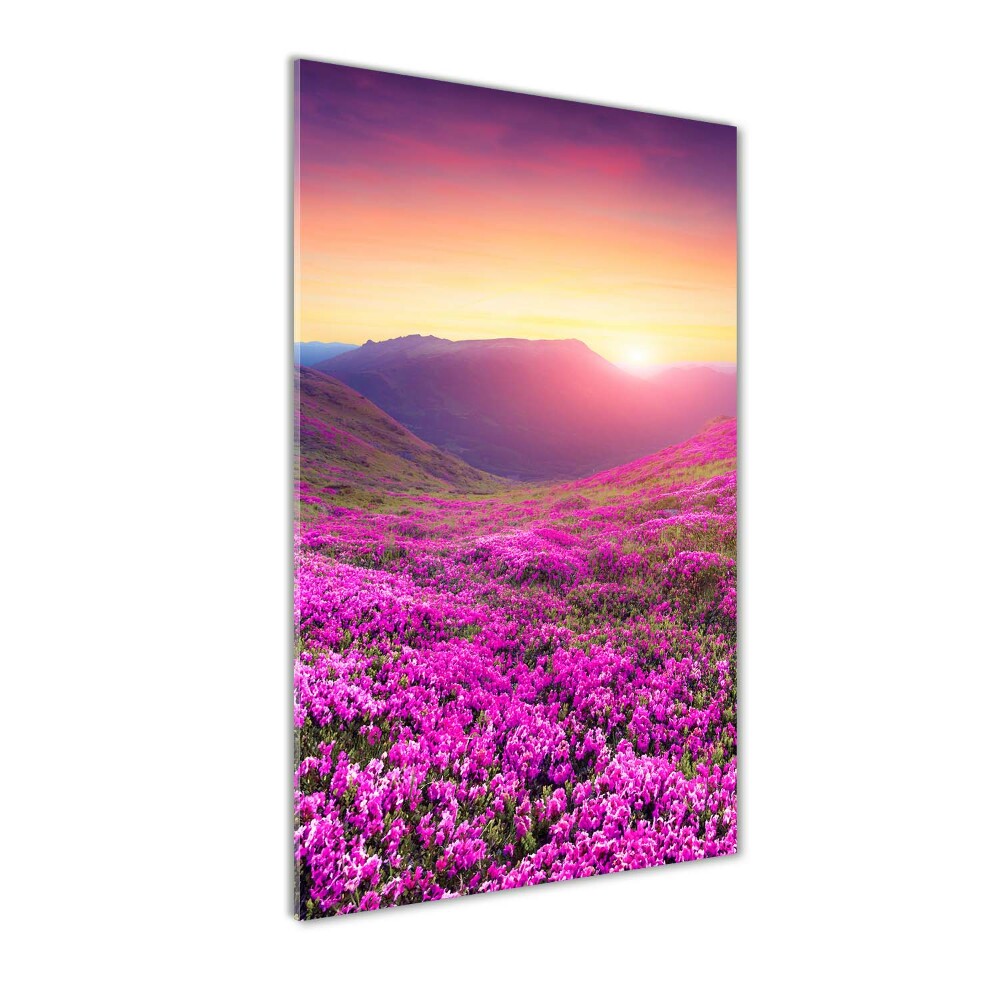 Tableau imprimé sur verre Montagne de rhododendrons