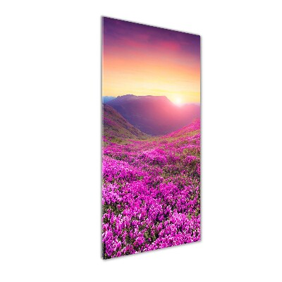 Tableau imprimé sur verre Montagne de rhododendrons