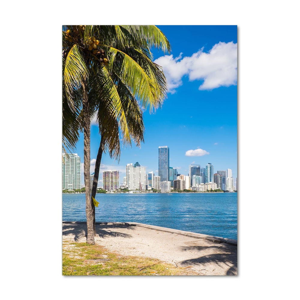 Tableau photo sur verre Miami