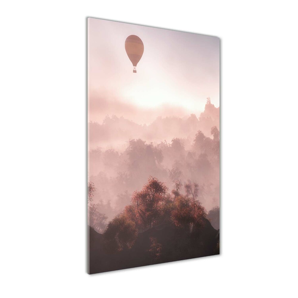 Tableau photo sur verre Forêt de ballons volants