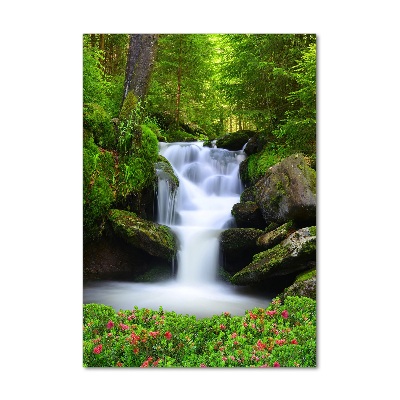 Tableau photo sur verre Chute d'eau dans la forêt