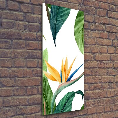 Tableau photo sur verre Strelitzia royal