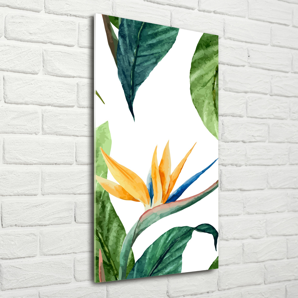 Tableau photo sur verre Strelitzia royal