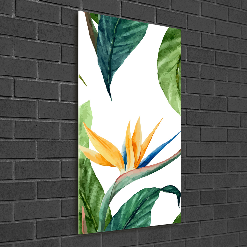 Tableau photo sur verre Strelitzia royal