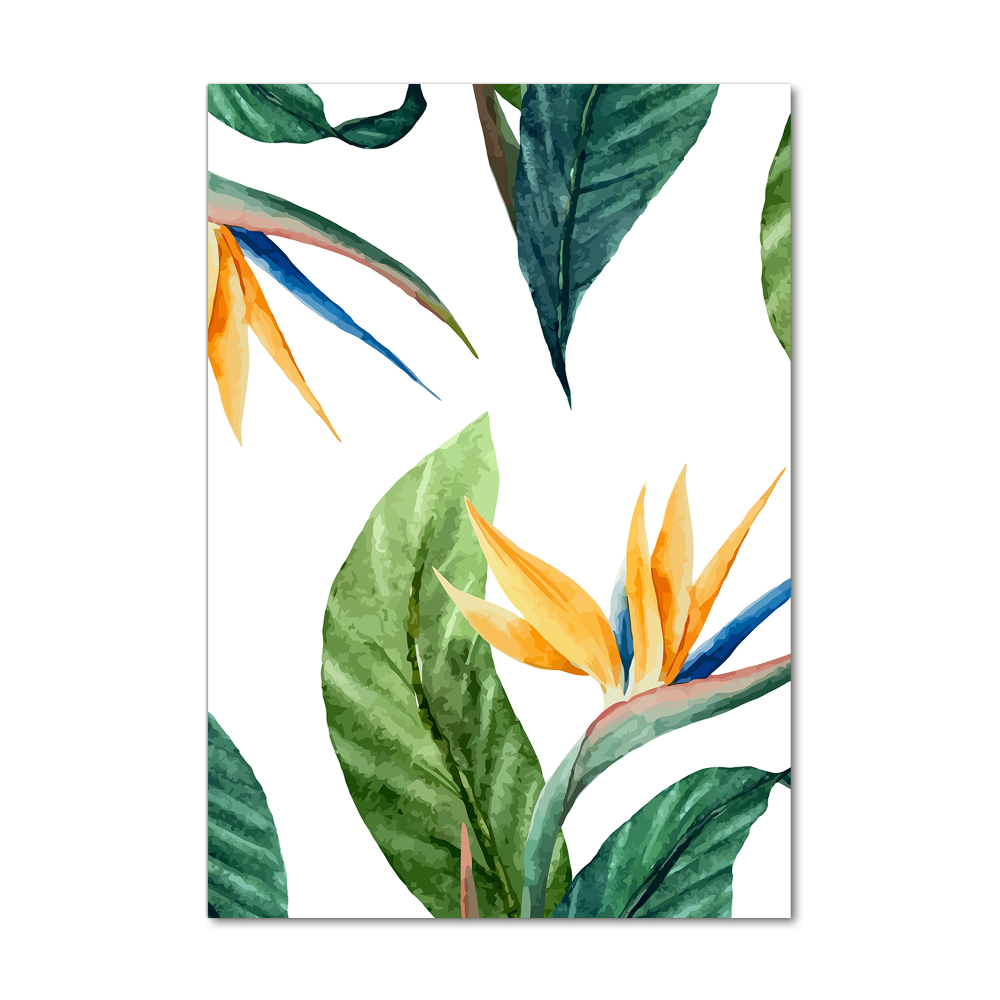 Tableau photo sur verre Strelitzia royal