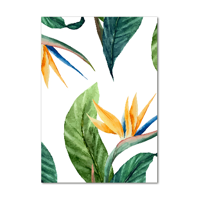 Tableau photo sur verre Strelitzia royal