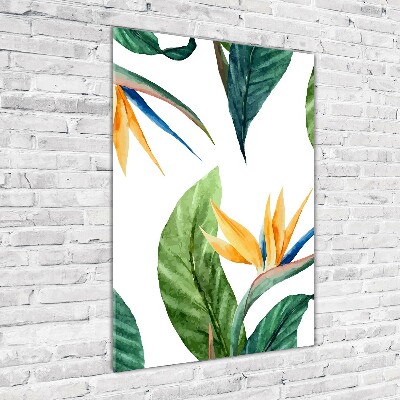 Tableau photo sur verre Strelitzia royal