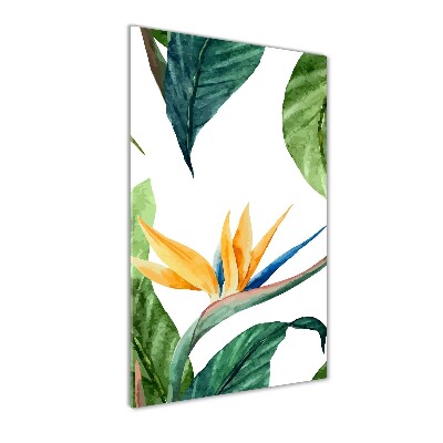 Tableau photo sur verre Strelitzia royal