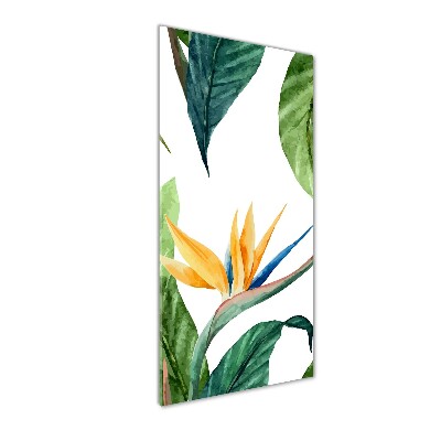 Tableau photo sur verre Strelitzia royal