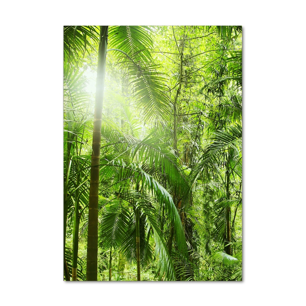 Tableau en verre Forêt tropicale