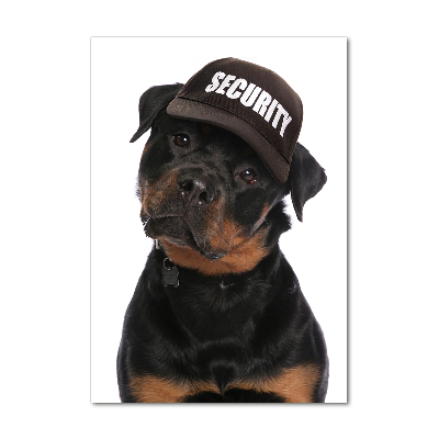 Tableau photo sur verre Rottweiler en casquette