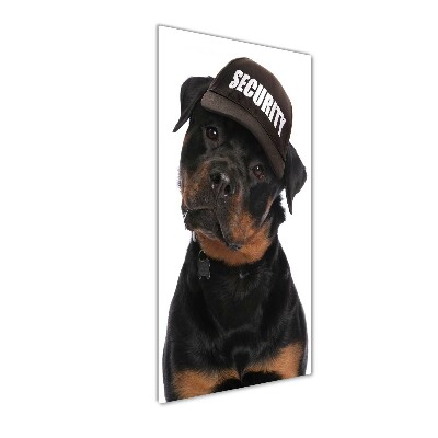 Tableau photo sur verre Rottweiler en casquette