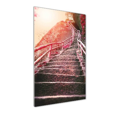 Tableau photo sur verre Escalier en montagne