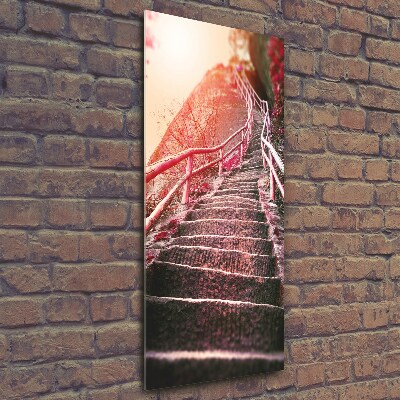 Tableau photo sur verre Escalier en montagne