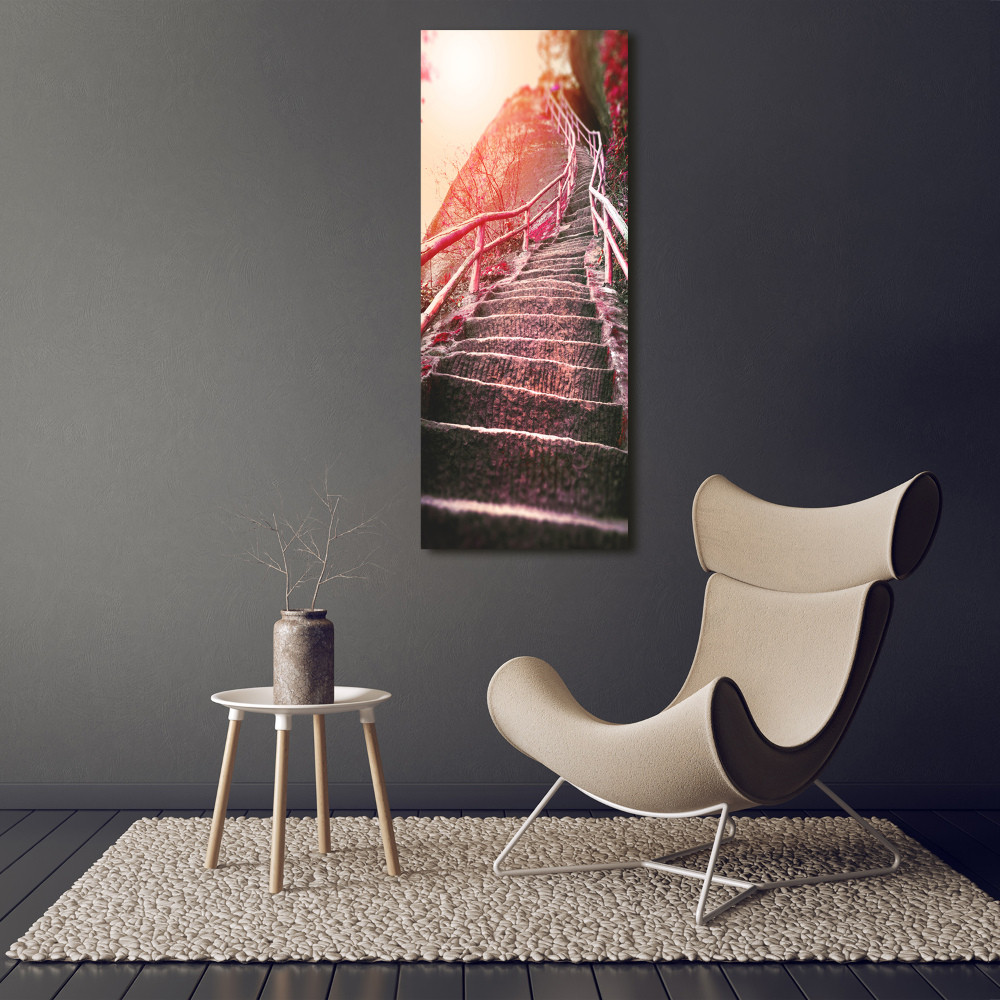 Tableau photo sur verre Escalier en montagne