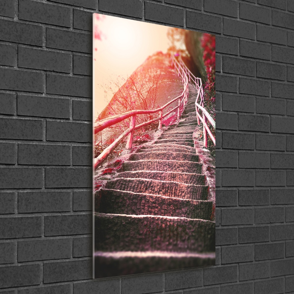 Tableau photo sur verre Escalier en montagne