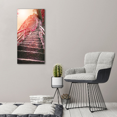 Tableau photo sur verre Escalier en montagne