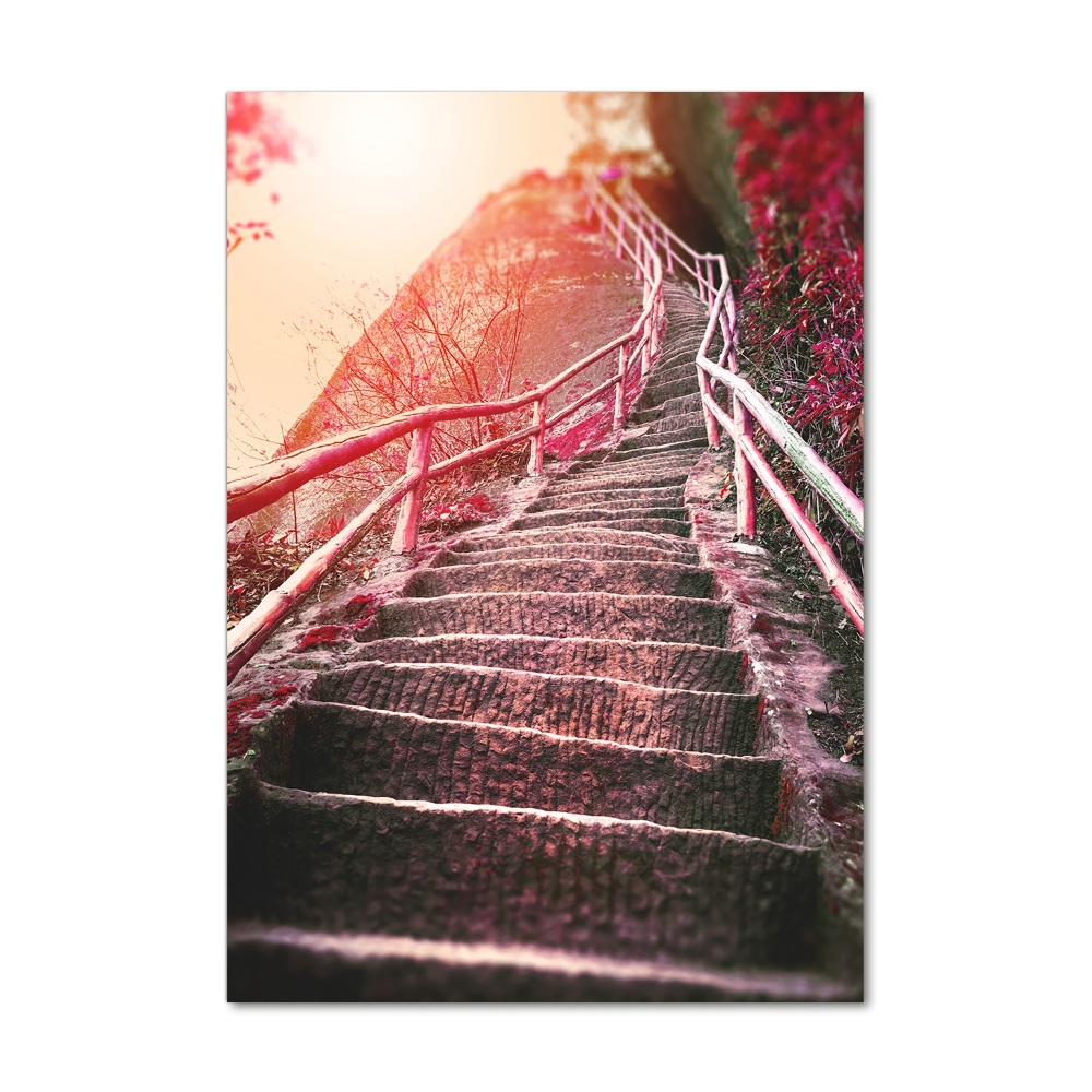 Tableau photo sur verre Escalier en montagne