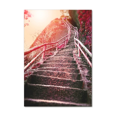 Tableau photo sur verre Escalier en montagne