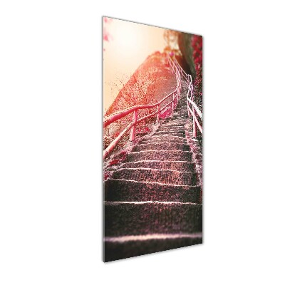 Tableau photo sur verre Escalier en montagne