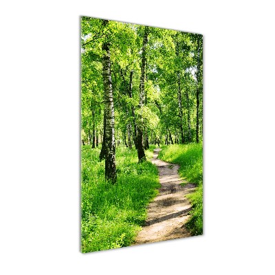 Tableau photo sur verre Forêt bouleau