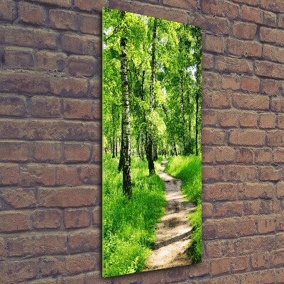 Tableau photo sur verre Forêt bouleau