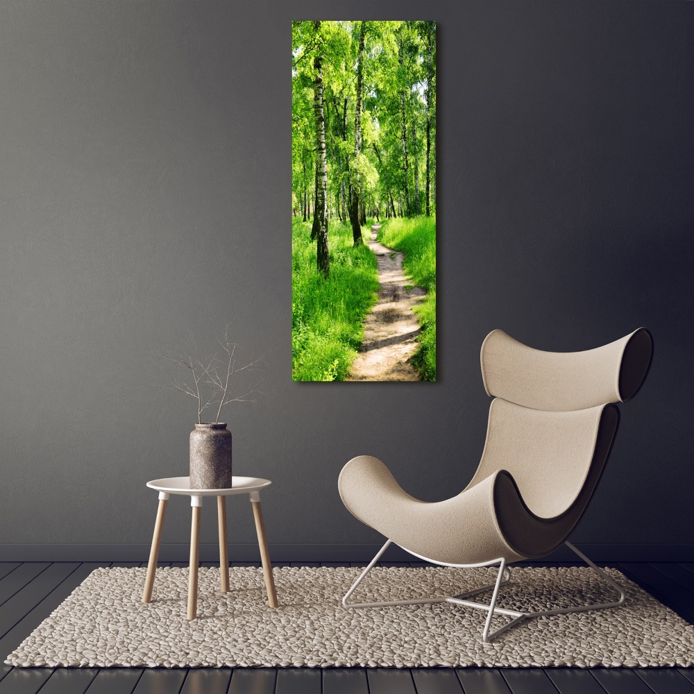 Tableau photo sur verre Forêt bouleau