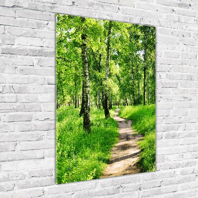 Tableau photo sur verre Forêt bouleau