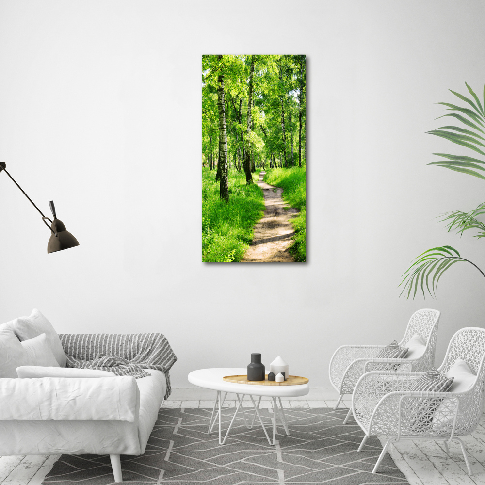 Tableau photo sur verre Forêt bouleau