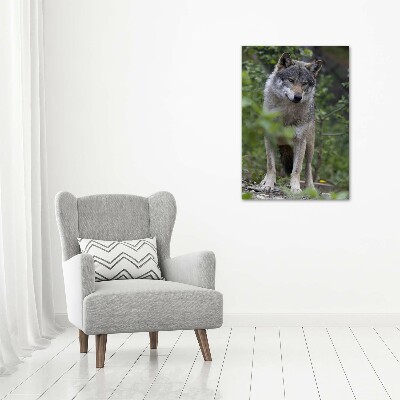 Tableau verre imprimé Loup dans la forêt