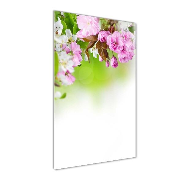 Fleurs de printemps