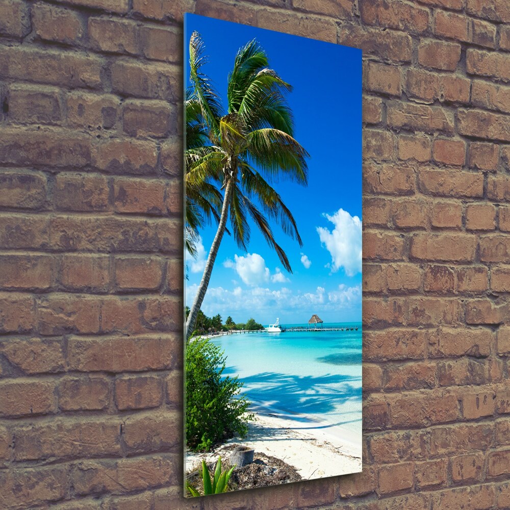 Tableau sur verre Plage exotique