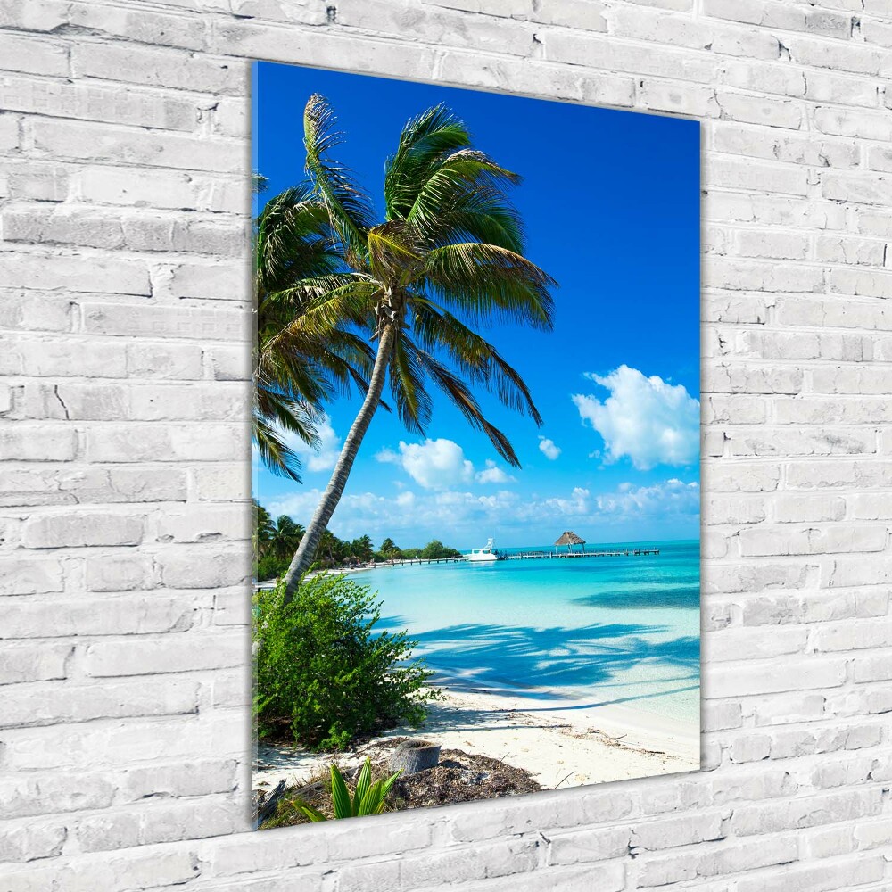 Tableau sur verre Plage exotique