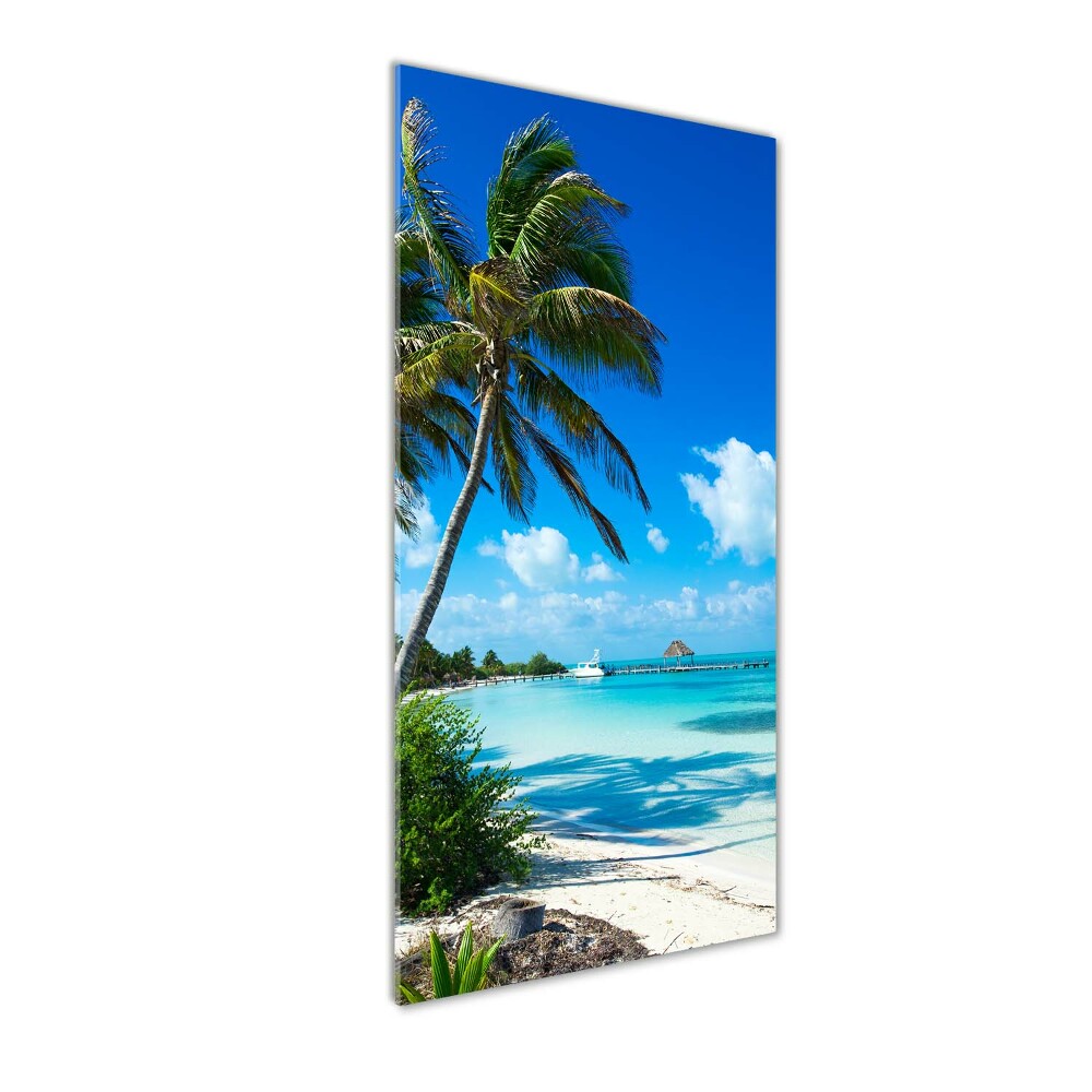 Tableau sur verre Plage exotique