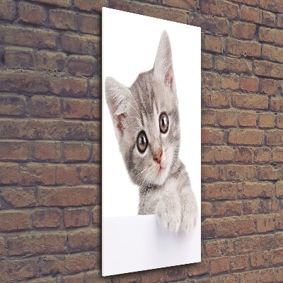 Tableau imprimé sur verre Chat gris