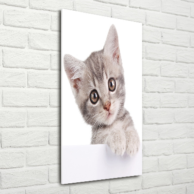 Tableau imprimé sur verre Chat gris