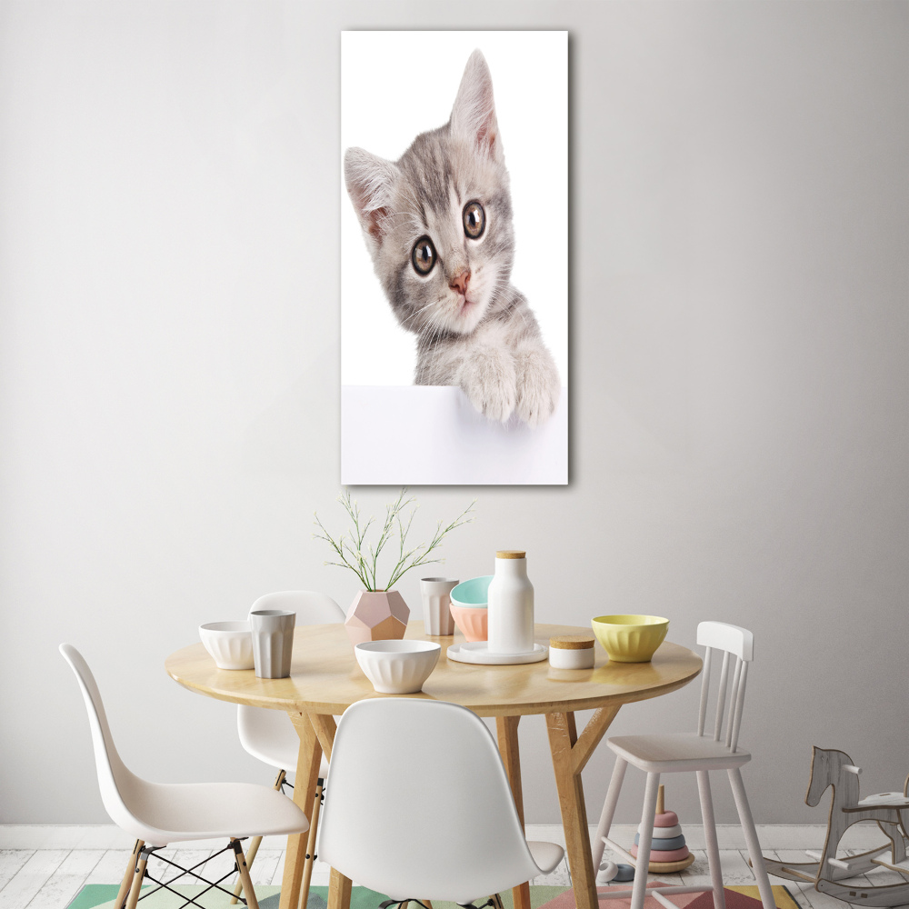 Tableau imprimé sur verre Chat gris